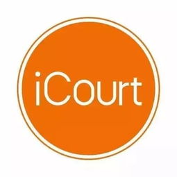 秒回客户咨询 iCourt财务咨询如何生成高效检索报告