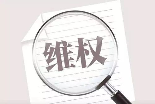 过年防侵权，法律为你护航